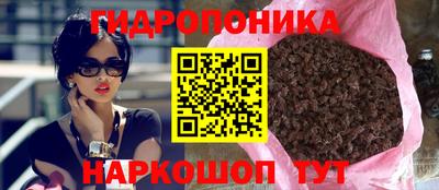 соль ск Пушкино