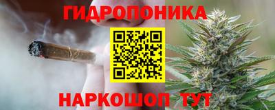 гидропоника Пыть-Ях
