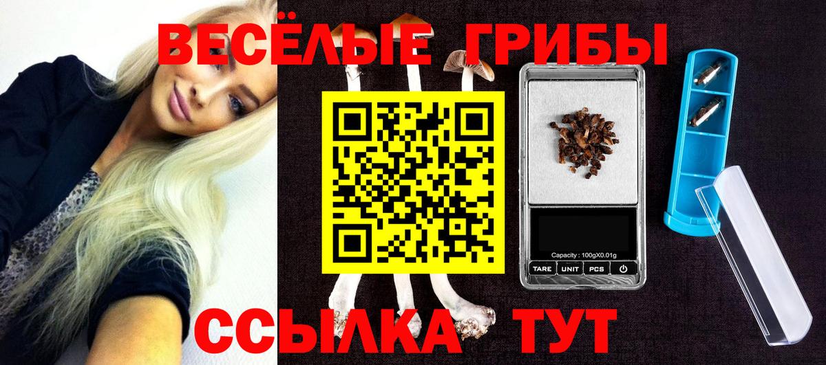 Галлюциногенные грибы Psilocybe Обь